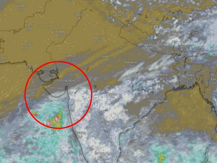 Saurashtra and South Gujarat to will be Receive Heavy Rain on next three days ગુજરાતના કયા વિસ્તારમાં વિજળીના કડાકા-ભડાકા સાથે વરસાદ થશે? હવામાન વિભાગે શું કરી આગાહી? જાણો વિગત