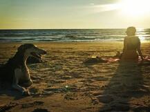 બોલીવુડની વધુ એક એક્ટ્રેસ લગ્ન પહેલા જ બનશે મા, દેખાડ્યો બેબી બંપ