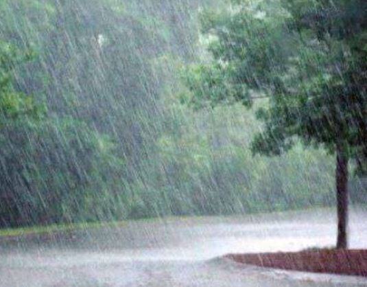 Crop fail in keshod junagadh જૂનાગઢ: કેશોદમાં વરસાદના કારણે ખેડૂતોની મુશ્કેલી વધી, મગફળી અને કપાસના પાકને નુકશાન