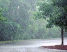 જૂનાગઢ: કેશોદમાં વરસાદના કારણે ખેડૂતોની મુશ્કેલી વધી, મગફળી અને કપાસના પાકને નુકશાન