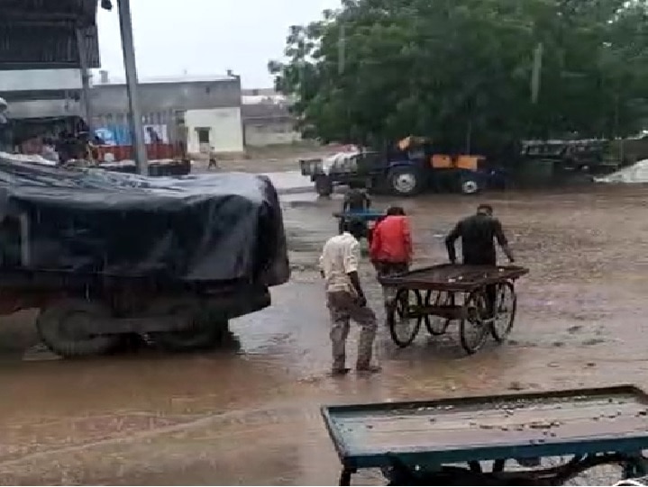 Unseasonal rain in various part of Gujarat know details ગુજરાતના કયા-કયા વિસ્તારોમાં પડ્યો વરસાદ? હવામાન વિભાગે શું કરી આગાહી