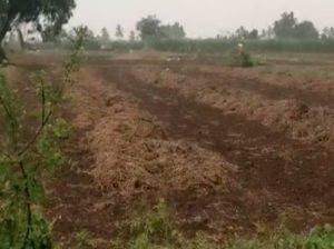 ગુજરાતના કયા-કયા વિસ્તારોમાં સતત બીજા દિવસે થયું માવઠું, ખેડૂતોના જીવ ચોંટી ગયા તાળવે, જાણો વિગત