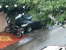 ગુજરાતના વાતાવરણમાં પલટોઃ કઈ કઈ જગ્યાએ પડ્યું વરસાદી ઝાપટું? જાણો વિગત