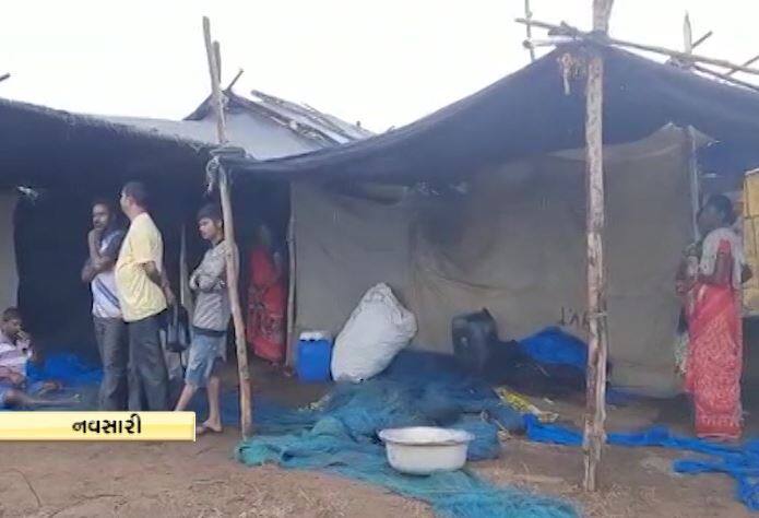 Maha storm More than 25 home sheds flew at Borsi machiwad village navsari નવસારીમાં 'મહા' વાવાઝોડાની અસર, બોરસી માછીવાડ ગામે 25થી વધુ ઘરના પતરાના શેડ ઉડ્યા