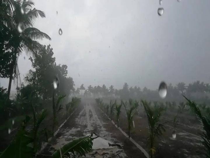 સુરેંદ્રનગરના લિંબડીમાં બે ઈંચ ,કપરાડા, સાગબારા અને વઘઈ તાલુકામાં દોઢ ઈંચ , જ્યારે ચુડા,ચીખલી, બારડોલી અને વલસાડ તાલુકામાં એક-એક ઈંચ વરસાદ વરસ્યો હતો. દ્વારકાના કલ્યાણપુર, ખંભાળિયા તાલુકામાં કમોસમી વરસાદ નોંધાયો હતો. વરસાદના કારણે મગફળી, કપાસ, બાજરી, એરંડાના પાકને મોટું નુકસાન થયું છે.