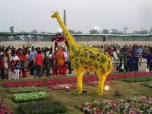 અમદાવાદ: ફ્લાવર શો જોવો મોંઘો થશે, ફીમાં કરાયો ડબલ વધારો, જાણો વિગતે