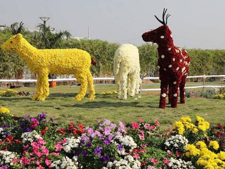  ખાસ કરીને શનિ-રવિમાં મોટી સંખ્યામાં લોકોનો ધસારો જોવા મળે છે. જેથી આ વર્ષે શનિ રવિમાં 50 રૂપિયા ફી નક્કી કરાઈ છે. જ્યારે વિકલાંગો, 12 વર્ષના બાળકો અને સિનિયર સિટિઝન માટે ફ્રી એન્ટ્રી રાખવામાં આવી છે. 