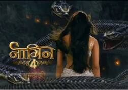 નાગિન 4માં આ એક્ટ્રેસ ભજવશે બીજી ‘નાગિન’નું પાત્ર, એકતા કપૂરે કર્યો ખુલાસો