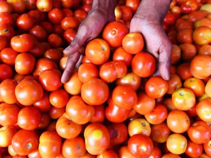 inflation in pakistan 320 rupees par kg tomato in karachi પાકિસ્તાનમાં મોંઘવારીથી હાહાકાર, એક કિલો ટામેટાનો ભાવ સાંભળીને ચોંકી જશો, લોકો 1-2 નંગ ખરીદવા મજબૂર
