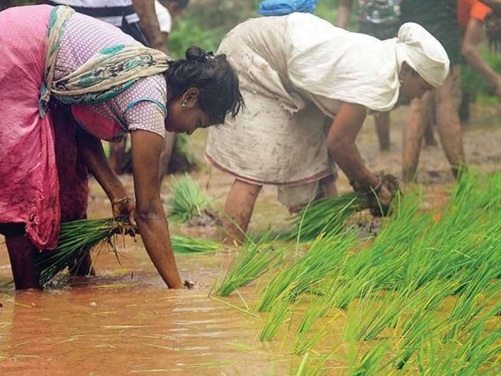 Gujarat govt announces relief package of Rs 3795 Crore કયા ખેડૂતોને 4,000 અને 6,800 રૂપિયા ગુજરાત સરકાર સીધા ખાતામાં જમા કરાવશે? જાણો વિગત