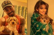 ભારતીય ક્રિકેટર હાર્દિક પંડ્યાએ ઉર્વશી રૌતેલાને ગિફ્ટ કર્યું પપી?