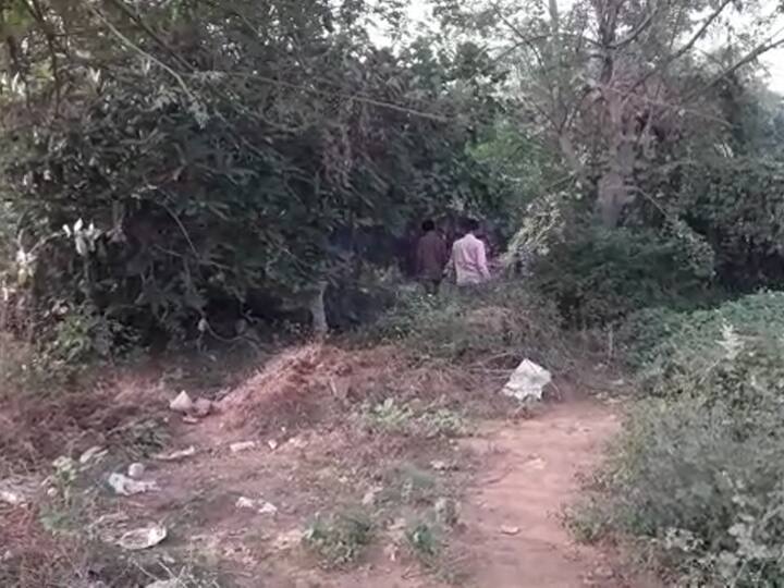 વડોદરાઃ નવલખી મેદાનમાં રાત્રે સગીરા પર 3 યુવકોએ કર્યો ગેંગ રેપ Three youth gang rape on minor girl in Vadodara વડોદરાઃ નવલખી મેદાનમાં રાત્રે સગીરા પર 3 યુવકોએ કર્યો ગેંગ રેપ