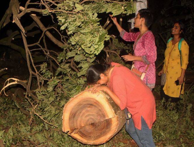 Uddhav thackeray I have ordered to take back the cases filed against many environmentalist મહારાષ્ટ્ર: ઉદ્ધવ ઠાકરેની જાહેરાત, આરે પ્રદર્શનકારીઓ સામેના કેસ પાછા ખેંચાશે