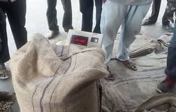 ગોંડલ: ટેકાના ભાવે ખરીદીમાં મગફળી 200 ગ્રામ વધુ જતી હોવાથી ખેડૂતોનો હોબાળો