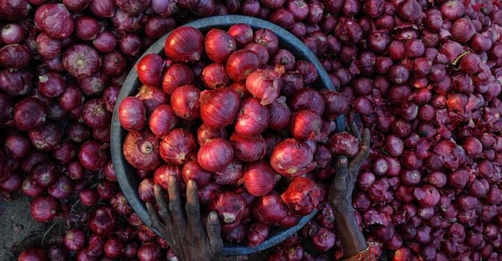 onion price touched 200 rs per kg in solapur of maharashtra ડુંગળીમાં લાલચોળ તેજી, આ શહેરમાં કિલોનો ભાવ 200 રૂપિયાને પાર પહોંચ્યો
