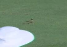 રણજી ટ્રોફીઃ મેચ ચાલુ હતી અને મેદાન પર નીકળ્યો સાપ ને પછી.....