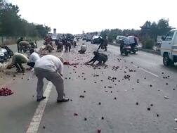 ગુજરાતના આ સીટીમાં લોકોએ મોંઘા ભાવની ડુંગળીની ચલાવી લૂંટ? જાણો કેવી રીતે