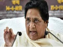 CAAનું સમર્થન કરવું BSP ધારાસભ્યને પડ્યું મોંઘુ, માયાવતીએ પાર્ટીમાંથી કર્યા સસ્પેન્ડ