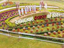 CM રૂપાણીએ અમદાવાદમાં ખુલ્લો મુક્યો ફ્લાવર શૉ, જુઓ શાનદાર તસવીરો