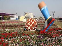 CM રૂપાણીએ અમદાવાદમાં ખુલ્લો મુક્યો ફ્લાવર શૉ, જુઓ શાનદાર તસવીરો