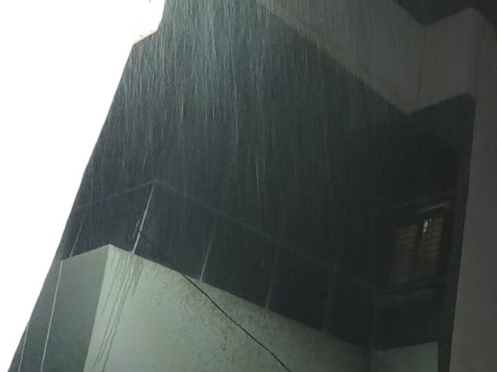 ગુજરાતમાં કમોસમી વરસાદ: માંગરોળ અને માળિયા હાટીનામાં ભારે વરસાદ ખાબક્યો, ખેતરોમાં ભરાયા પાણી