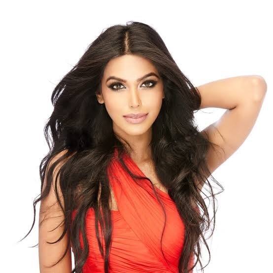 બે મહિનાથી એક શખ્સ પૂર્વ મિસ ઇન્ડિયા વર્લ્ડની પાછળ પડ્યો હતો, શેર કરી અશ્લીલ તસવીરો અને પછી.....