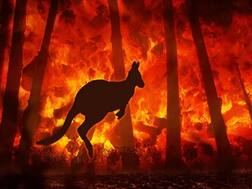 ઓસ્ટ્રેલિયામાં લાગેલી ભીષણ આગથી દુઃખી છે બોલિવૂડની આ એક્ટ્રેસનો પુત્ર, કર્યું કઈંક એવું કે થઈ રહી છે પ્રશંસા