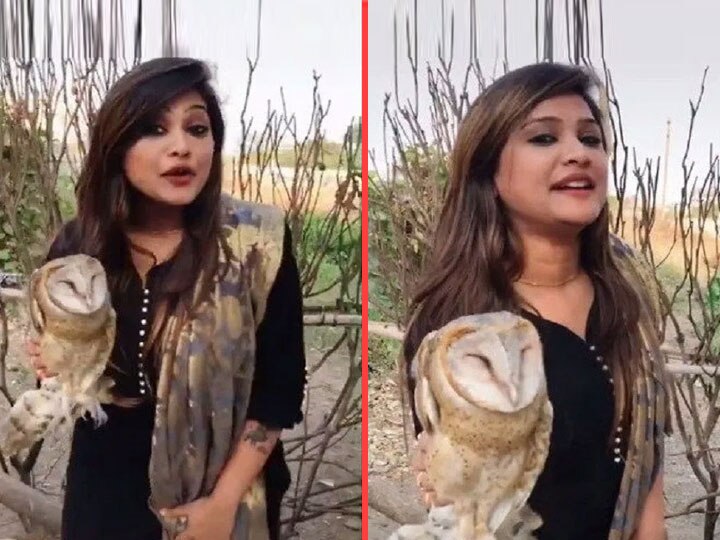 Gujarat: TikTok girl Kirti Patel lands in controversy after posting video with an owl TikTokથી જાણીતી બનેલી કિર્તી પટેલને ઘુવડ સાથે વીડિયો બનાવવો ભારે પડ્યો, જાણો કેમ