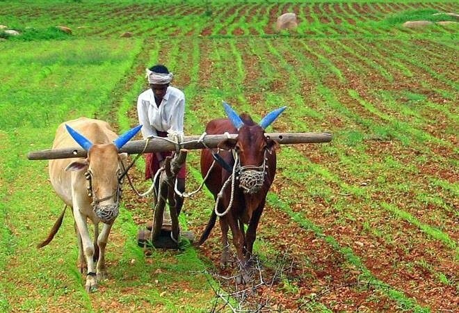 budget modi govt launch kusum scheme for farmers in budget 2020 બજેટ 2020માં ખેડૂતો પર મહેરબાન મોદી સરકાર, અન્નદાતાથી ઉર્જાદાતા બનાવવા માટે લોન્ચ કરી કુસુમ સ્કીમ