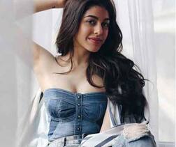 'જવાની જાનેમન' રિલીઝ થતા જ અલાયા ફર્નિચરવાલાની લાગી લોટરી, કરન જોહરની ફિલ્મમાં જોવા મળશે