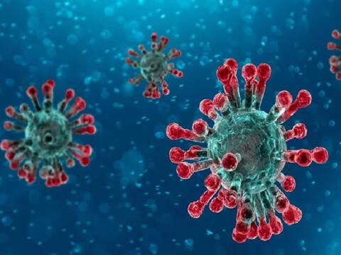 કોરોના બાદ વધુ એક રહસ્યમય વાયરસ આવ્યો સામે, વૈજ્ઞાનિકો પણ રહી ગયા દંગ