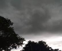 ખેડૂતોની વધી ચિંતાઃ અમરેલી-ભાવનગરના વાતાવરણમાં આવ્યો પલટો, આકાશમાં કાળા ડિબાંગ વાદળો છવાયા