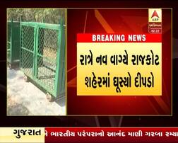 લ્યો બોલો, રાજકોટના ઝૂમાં બહારથી આવ્યો દીપડો ને હરણનું કર્યું મારણ, જાણો વિગતે