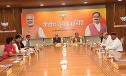 BJPએ ગુજરાત, મહારાષ્ટ્ર સહિત વિવિધ રાજ્યોમાંથી રાજ્યસભાના ઉમેદવારો કર્યા જાહેર, જાણો કોને મળી ટિકિટ