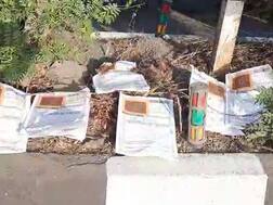 ધો-10ની ઉત્તરવહીઓ રોડ પર રઝળતી હોવાના મુદ્દે શું થયો મોટો ખુલાસો? જાણો વિગત