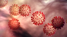 Coronavirus માખીથી ફેલાઈ શકે છે, અમિતાભ બચ્ચને Videoમાં આપી જાણકારી, મોદીએ કર્યું રિટ્વિટ