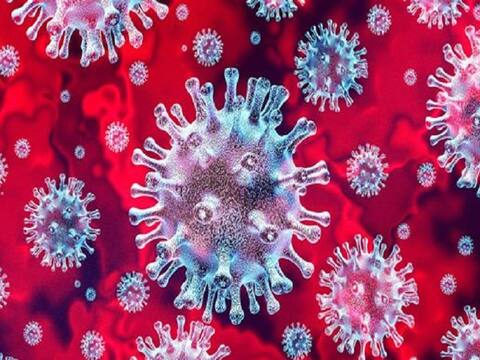 Coronavirus: આ છે સૌથી ઘાતક લક્ષણો, પીડિતોને થાય છે આ મુશ્કેલીઓ, જાણો વિગત Coronavirus: આ છે સૌથી ઘાતક લક્ષણો, પીડિતોને થાય છે આ મુશ્કેલીઓ, જાણો વિગત