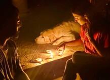 વિરાટ કોહલી અને અનુષ્કા શર્માએ દીવો પ્રગટાવી બતાવી એકજૂથતા, ટ્વિટ દ્વારા કહી આ વાત.....