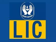 LICના પોલિસીધારકો માટે મોટા સમાચાર, પ્રિમિયમનાં પેમેન્ટને લઈને કેટલા દિવસની આપી છૂટ? જાણો