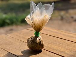 કાઠિયાવાડી યુવાનનો Unique Idea, એક ધાબાથી બીજા ધાબા પર આ રીતે મોકલી ફાકી પણ.....