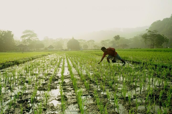 imd forecast this year we will have a normal monsoon ખેડૂતો આનંદો, હવામાન વિભાગે ચોમાસાને લઈ કરી મોટી આગાહી, જાણો વિગતે