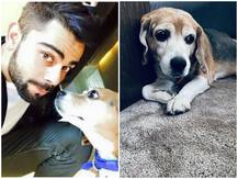 વિરાટ કોહલીના ખાસ સાથીનું અવસાન, તસવીર શેર કરીને લખ્યું- તારી સાથે છે લાઈફટાઈમ કનેકશન