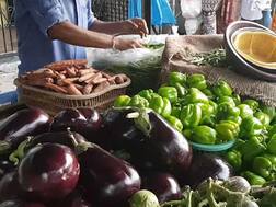 અમદાવાદ પછી હવે સુરતમાં પણ શાકભાજીના વેચાણ પર પ્રતિબંધ, જાણો ક્યારથી શરૂ થશે અમલ ?