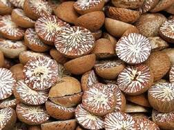 માવા બંધાણીઓ મુશ્કેલીમાં! સૌરાષ્ટ્રમાં આ જગ્યાએથી મોટા પ્રમાણમાં ઝડપાયો સોપારીનો જથ્થો