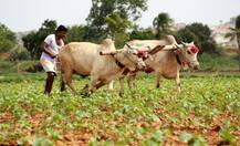 આર્થિક પેકેજઃ ખેડૂતો માટે શું જાહેરાત કરવામાં આવી ? જાણો વિગતે