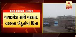 સૌરાષ્ટ્રના ગોંડલ, અમરેલી અને ગીર સોમનાથમાં વરસાદ, ખેડૂતોમાં ચિંતા