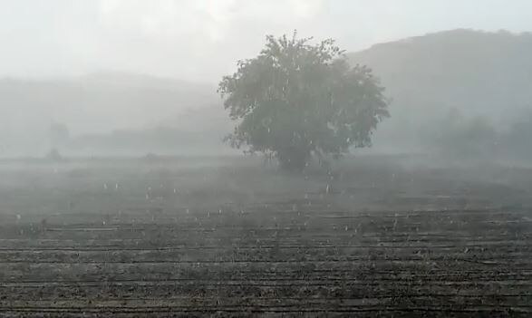Unseasonal rains in khambha Amreli અમરેલીના ખાંભામાં કરા સાથે વરસાદ, ખેડૂતો ચિંતામાં