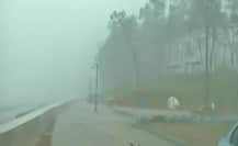 CycloneAmphan: પશ્ચિમ બંગાળમા 'એમ્ફાન'ની અસર, જોરદાર પવન સાથે વરસાદ શરુ