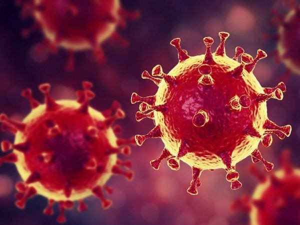 How many types of corona virus are there? You will be shocked to hear the answer of the doctors કોરોના વાયરસના કેટલા પ્રકાર છે? તબિબોનો જવાબ સાંભળીને ચોંકી જશો