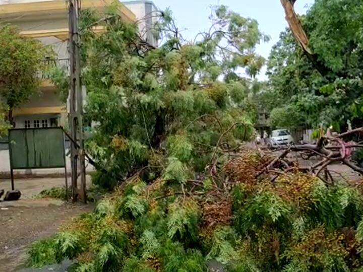 Heavy Rain with Wind in Bhavnagar on Today સૌરાષ્ટ્રના આ શહેરમાં ભારે પવન સાથે વરસાદ ખાબક્યો, અનેક જગ્યાએ શોર્ટ સર્કિટની ઘટનાઓ આવી સામે